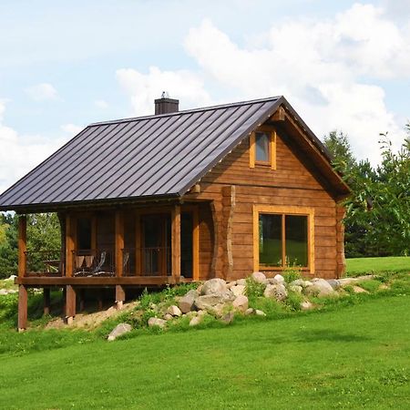 Vip Forest Dreams Villa Аникщяй Экстерьер фото
