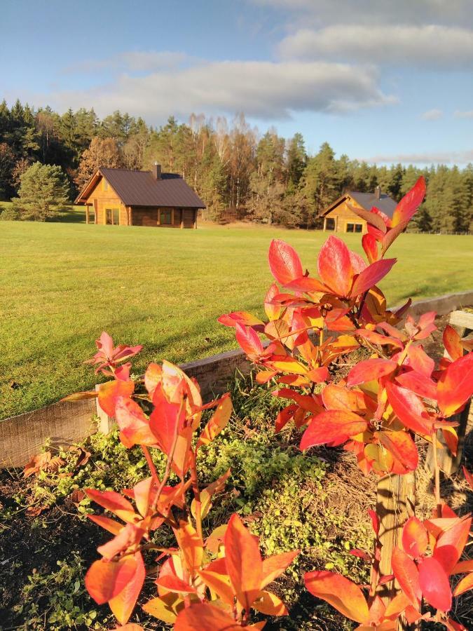 Vip Forest Dreams Villa Аникщяй Экстерьер фото