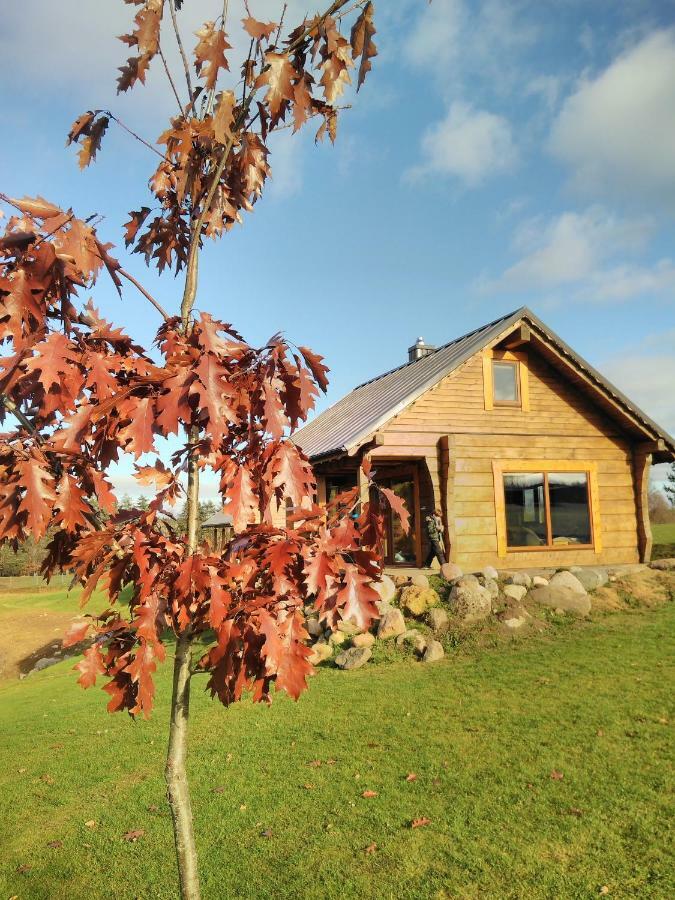 Vip Forest Dreams Villa Аникщяй Экстерьер фото