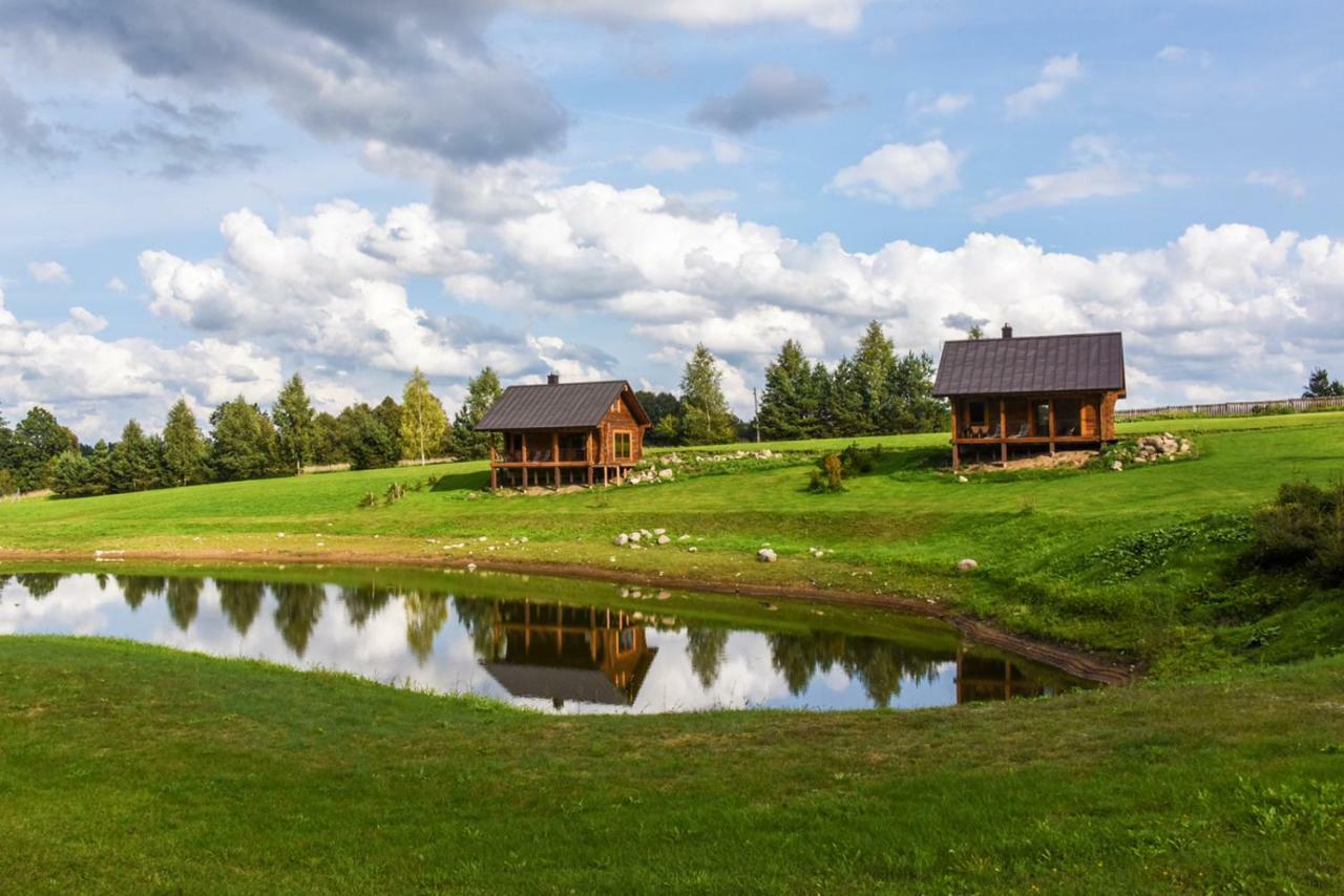 Vip Forest Dreams Villa Аникщяй Экстерьер фото